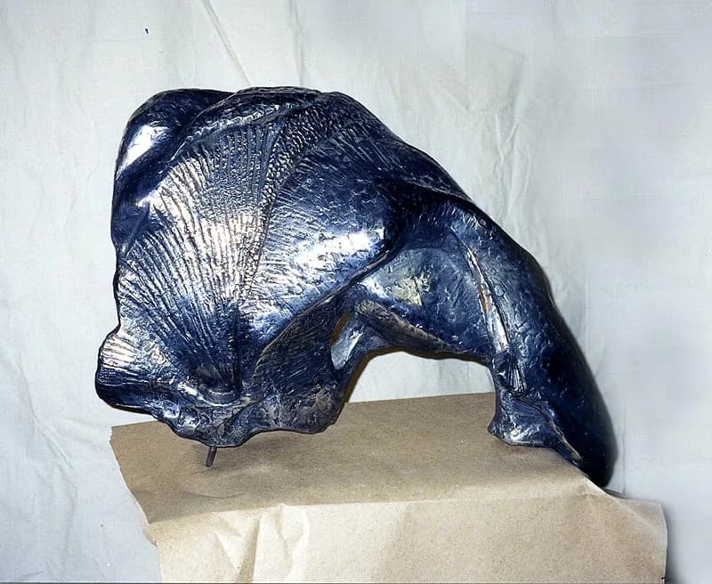 Кораловый риф